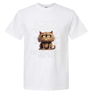 Cat Sorry IM Cranky IM Going Through My Terrible 60S Garment-Dyed Heavyweight T-Shirt