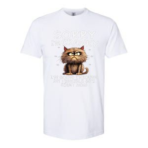 Cat Sorry IM Cranky IM Going Through My Terrible 60S Softstyle CVC T-Shirt