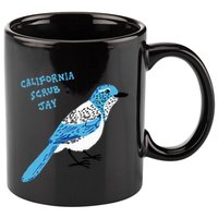 California Scrub Jay 11oz C Handle Ceramic Mug