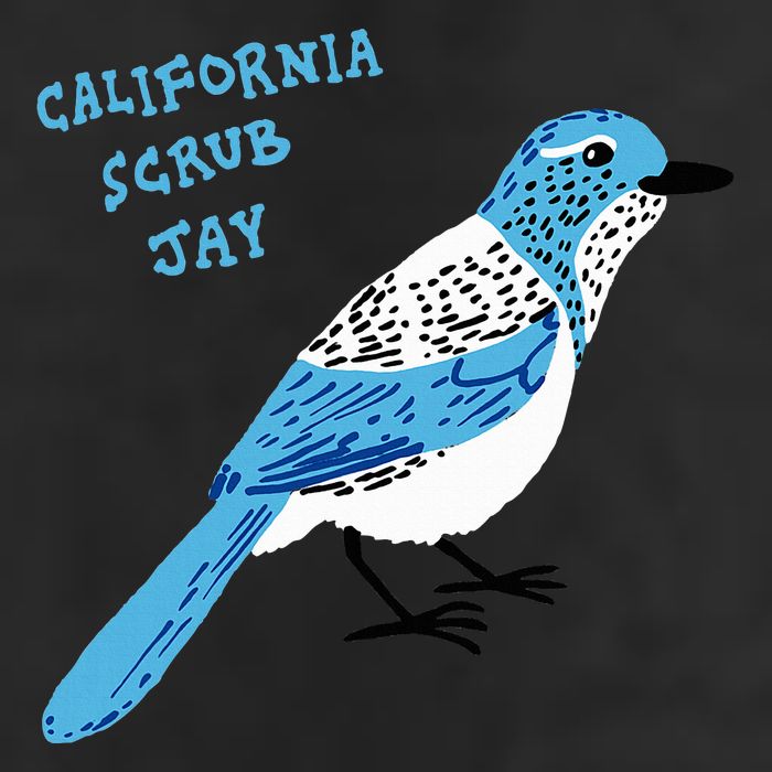 California Scrub Jay 11oz C Handle Ceramic Mug
