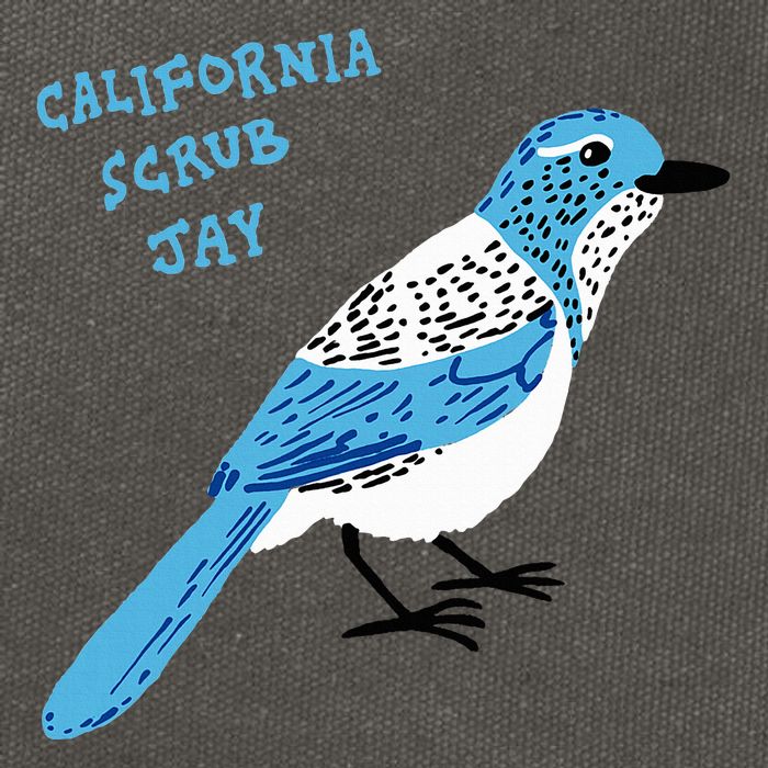California Scrub Jay Cotton Canvas Backpack