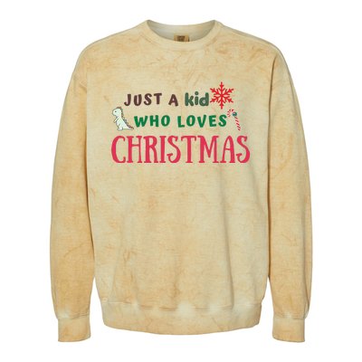 Christmas Sweatshirt Just A Who Loves Christmas Xmas Gift Holiday Top Winter Colorblast Crewneck Sweatshirt