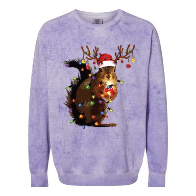 Christmas Squirrel Lights Colorblast Crewneck Sweatshirt