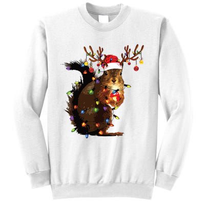 Christmas Squirrel Lights Sweatshirt