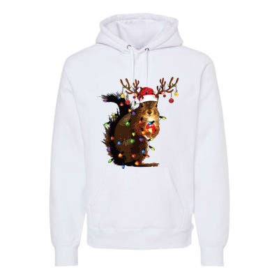 Christmas Squirrel Lights Premium Hoodie