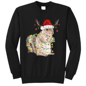 Christmas Squirrel Lights Tall Sweatshirt