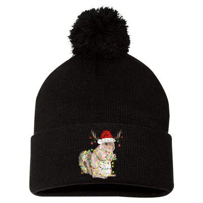 Christmas Squirrel Lights Pom Pom 12in Knit Beanie