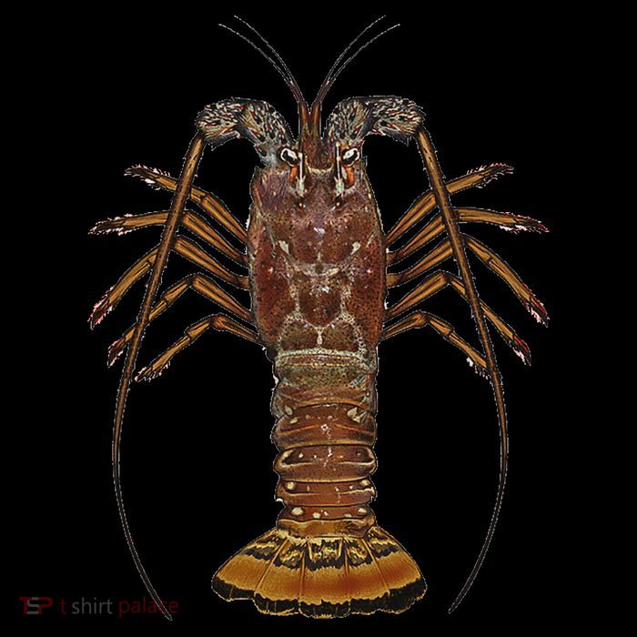 Caribbean Spiny Lobster Bahamas Shellfish Seafood Flatbill Hat