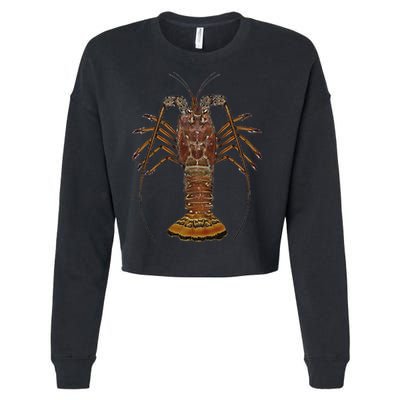 Caribbean Spiny Lobster Bahamas Shellfish Seafood Cropped Pullover Crew