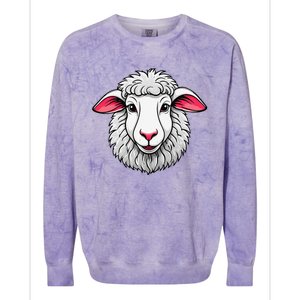 Cute Shee.P Lamb Farm Animals Cuddly Pets Colorblast Crewneck Sweatshirt