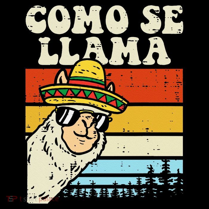 Como Se Llama Funny Cinco De Mayo Mexican Alpaca Animal Womens T-Shirt