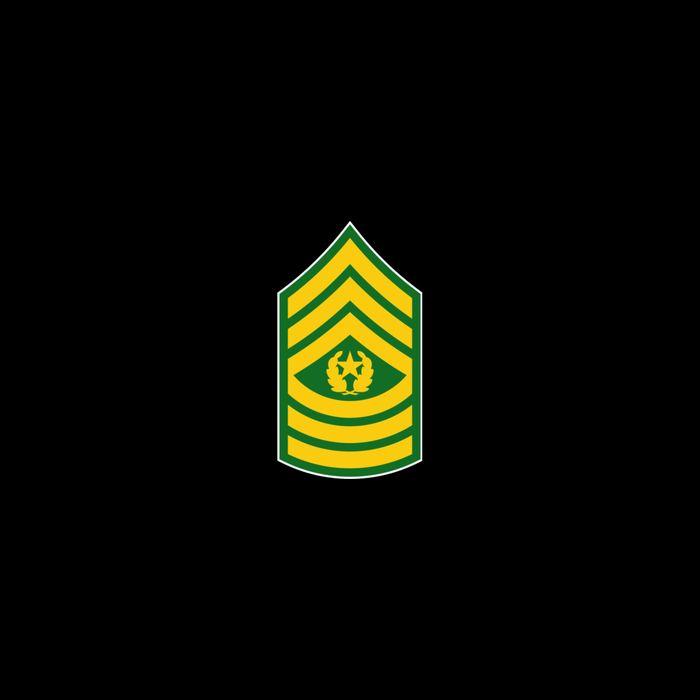 Command Sergeant Major Military Badge Button