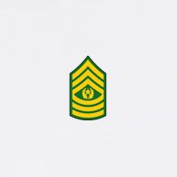 Command Sergeant Major Military Badge Garment-Dyed Sweatshirt