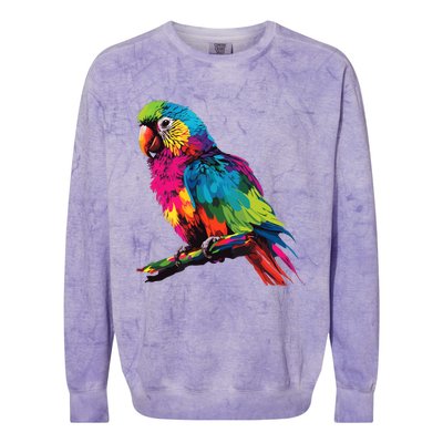 Colorful Scarlet Macaw Parrot Bird For Lover Birdwatching Colorblast Crewneck Sweatshirt