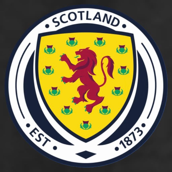Cool Scotland National Soccer Team 11oz C Handle Ceramic Mug