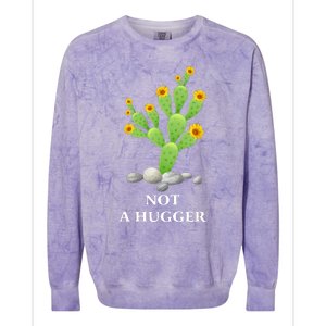 Cactus Sunflower Not A Hugger Colorblast Crewneck Sweatshirt