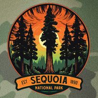 Cute Sequoia National Park Giant Tree Graphic Legacy Tie Dye Trucker Hat