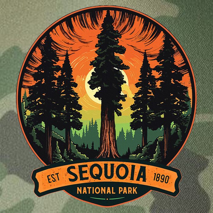 Cute Sequoia National Park Giant Tree Graphic Legacy Tie Dye Trucker Hat