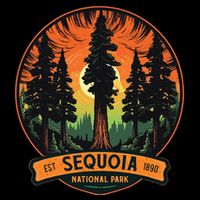 Cute Sequoia National Park Giant Tree Graphic 16 in Basic Backpack