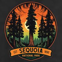 Cute Sequoia National Park Giant Tree Graphic Golf Towel
