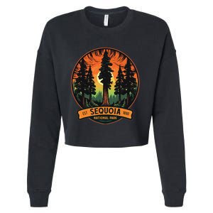 Cute Sequoia National Park Giant Tree Graphic Cropped Pullover Crew