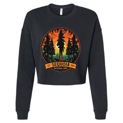 Cute Sequoia National Park Giant Tree Graphic Cropped Pullover Crew