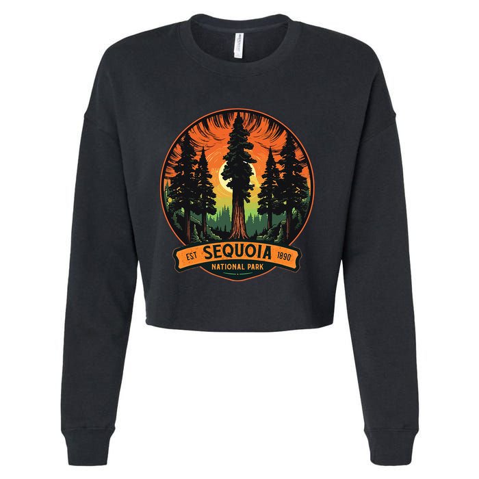 Cute Sequoia National Park Giant Tree Graphic Cropped Pullover Crew