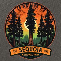 Cute Sequoia National Park Giant Tree Graphic Cotton Canvas Backpack