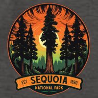 Cute Sequoia National Park Giant Tree Graphic Vector Backpack