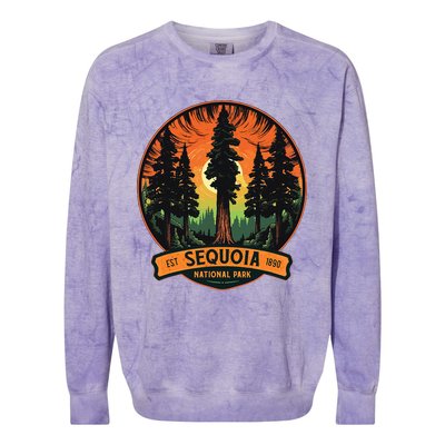 Cute Sequoia National Park Giant Tree Graphic Colorblast Crewneck Sweatshirt