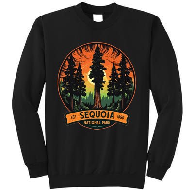 Cute Sequoia National Park Giant Tree Graphic Sweatshirt