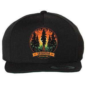 Cute Sequoia National Park Giant Tree Graphic Wool Snapback Cap