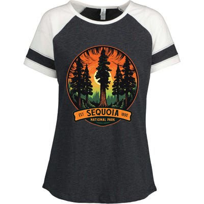 Cute Sequoia National Park Giant Tree Graphic Enza Ladies Jersey Colorblock Tee