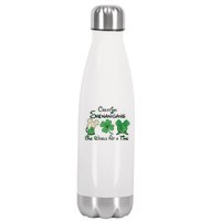 Creating Shenanigans One World At A Time Saint Patrick's Day Beer Drinking Team Stainless Steel Insulated Water Bottle