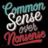 Common Sense Over Nonsense Retro Poster