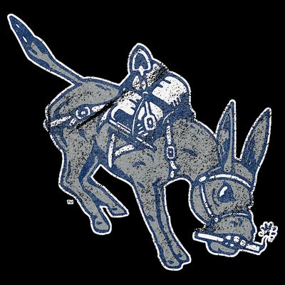 Colorado School Of Mines Orediggers Distressed Primary T-Shirt