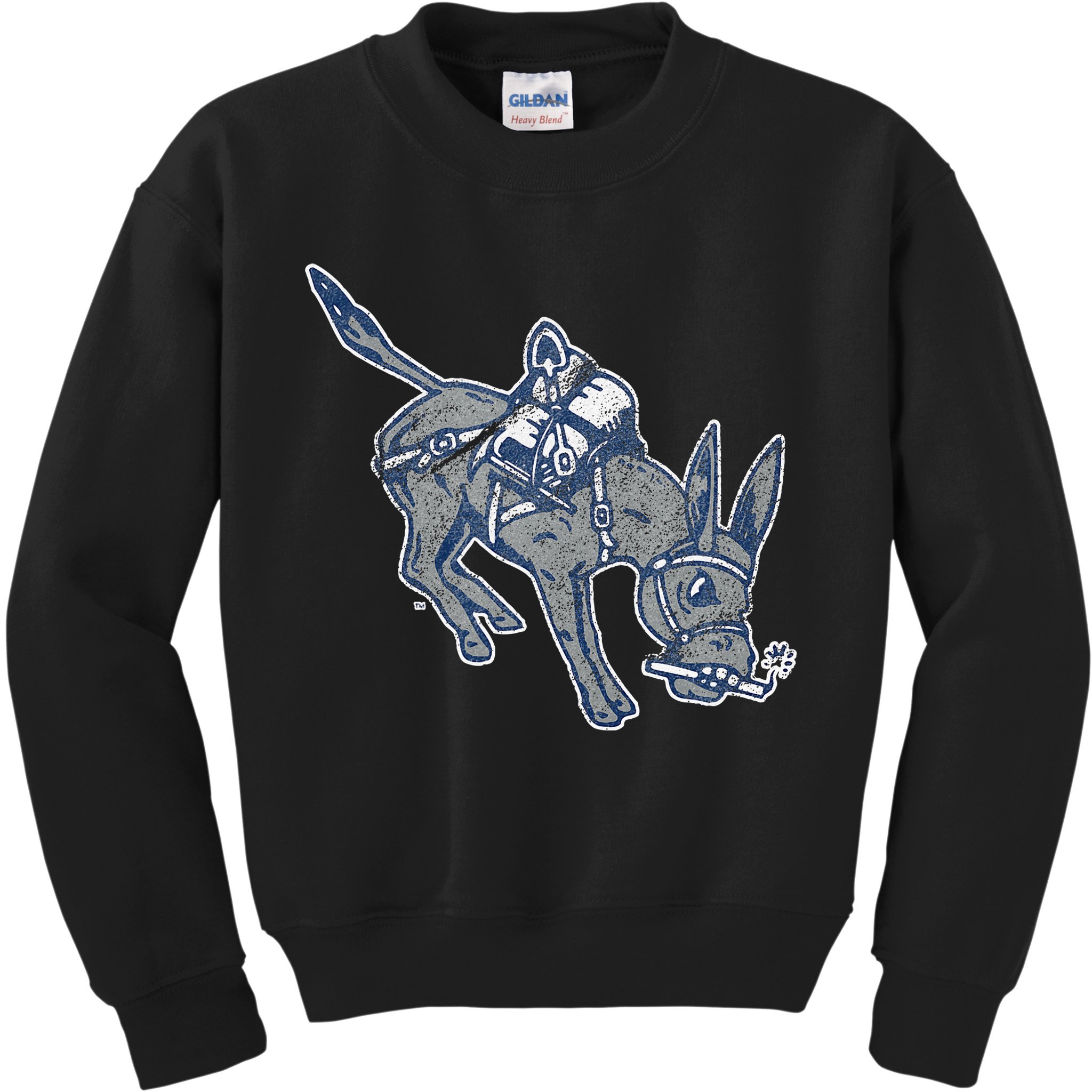 Colorado School Of Mines Orediggers Distressed Primary Kids Sweatshirt