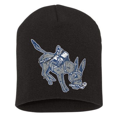 Colorado School Of Mines Orediggers Distressed Primary Short Acrylic Beanie