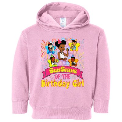 Cute SunShine of the Birthday Girl Toddler Hoodie