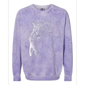 Cat Sleeping On The Moon Sketch Colorblast Crewneck Sweatshirt