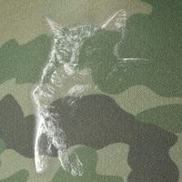 Cat Sleeping On The Moon Sketch Legacy Tie Dye Trucker Hat