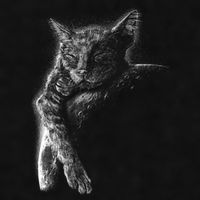 Cat Sleeping On The Moon Sketch Ladies PosiCharge Tri-Blend Wicking Tank