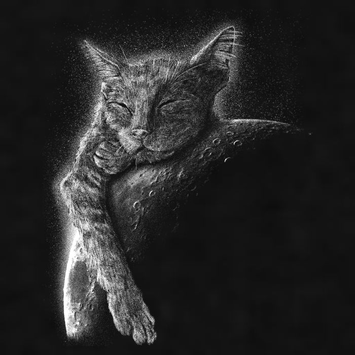Cat Sleeping On The Moon Sketch Ladies PosiCharge Tri-Blend Wicking Tank