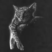 Cat Sleeping On The Moon Sketch 7 Panel Mesh Trucker Snapback Hat