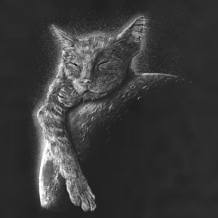 Cat Sleeping On The Moon Sketch 7 Panel Mesh Trucker Snapback Hat