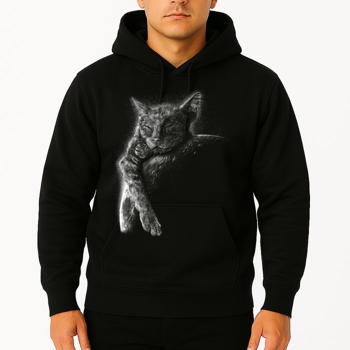 Cat Sleeping On The Moon Sketch Hoodie