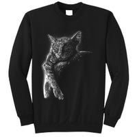 Cat Sleeping On The Moon Sketch Sweatshirt
