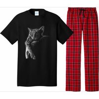 Cat Sleeping On The Moon Sketch Pajama Set