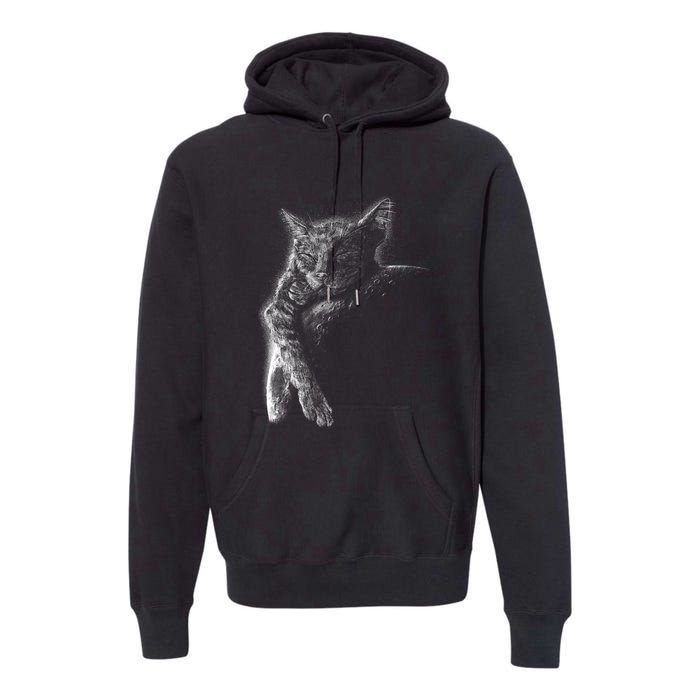 Cat Sleeping On The Moon Sketch Premium Hoodie