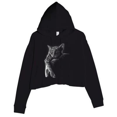 Cat Sleeping On The Moon Sketch Crop Fleece Hoodie